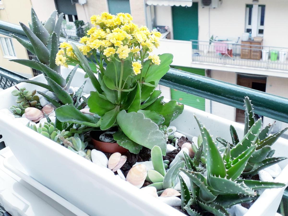Insula B&B Cagliari Ngoại thất bức ảnh